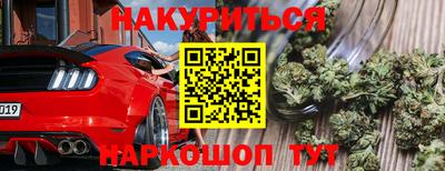 Альфа ПВП Пенза