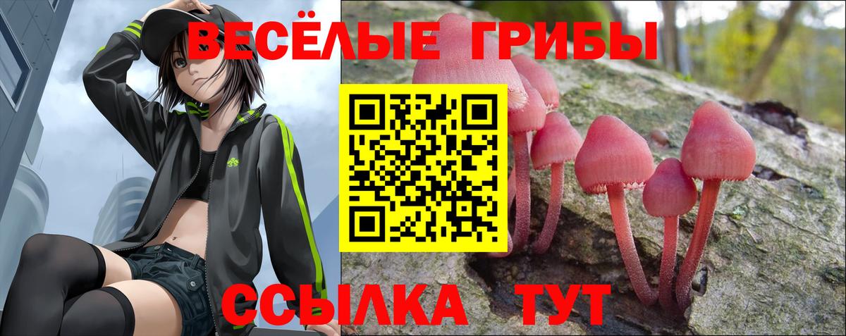 Галлюциногенные грибы GOLDEN TEACHER Сергиев Посад